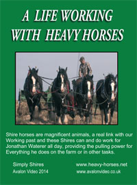 A Life Working With Heavy Horses